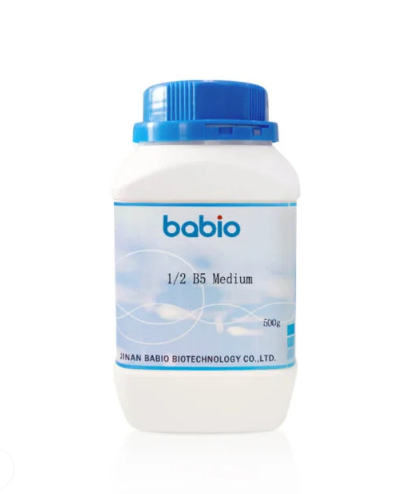 1/2 B5 ຂະຫນາດກາງ