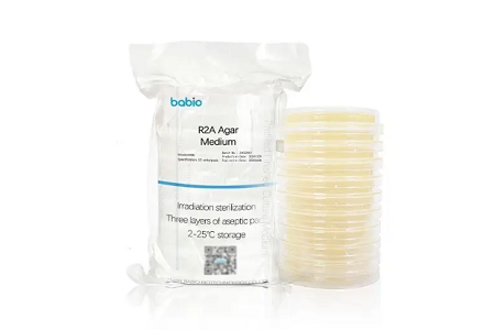 R2A Agar Medium: ມາດຕະຖານຄໍາສໍາລັບການກວດສອບ Microbial ໃນການກວດສອບ, ອາຫານ, ແລະອຸດສາຫະກໍາເຄື່ອງສໍາອາງ