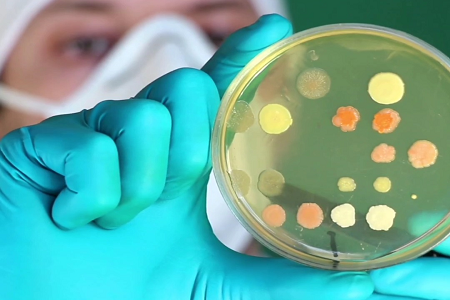 BABIO ເປີດຕົວ Premium Trypticase Soy Broth (TSB) ສໍາລັບ Global Clinical & Lab Microbiology