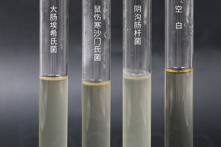 ເທັກໂນໂລຍີຊີວະພາບ Babio ເປີດຕົວນ້ຳຕົ້ມຫົວໃຈທີ່ມີປະສິດທິພາບສູງສຳລັບການລ້ຽງຈຸລິນຊີທີ່ໜ້າເຊື່ອຖື