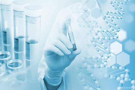 Agar Medium B (Casein Soya Bean Digest Agar) - ທາງເລືອກທີ່ເຊື່ອຖືໄດ້ສໍາລັບວັດທະນະທໍາຈຸລິນຊີ