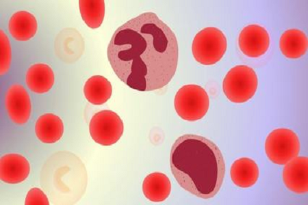 BABIO Salmonella Shigella ການຂົນສົ່ງສື່ກາງສໍາລັບຫ້ອງທົດລອງ