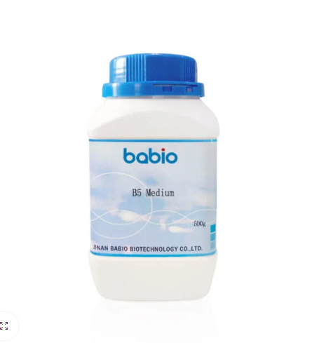 B5 ຂະຫນາດກາງ