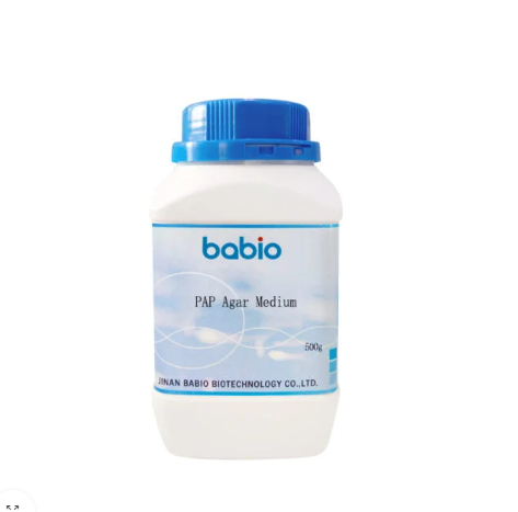 PAP Agar ຂະຫນາດກາງ