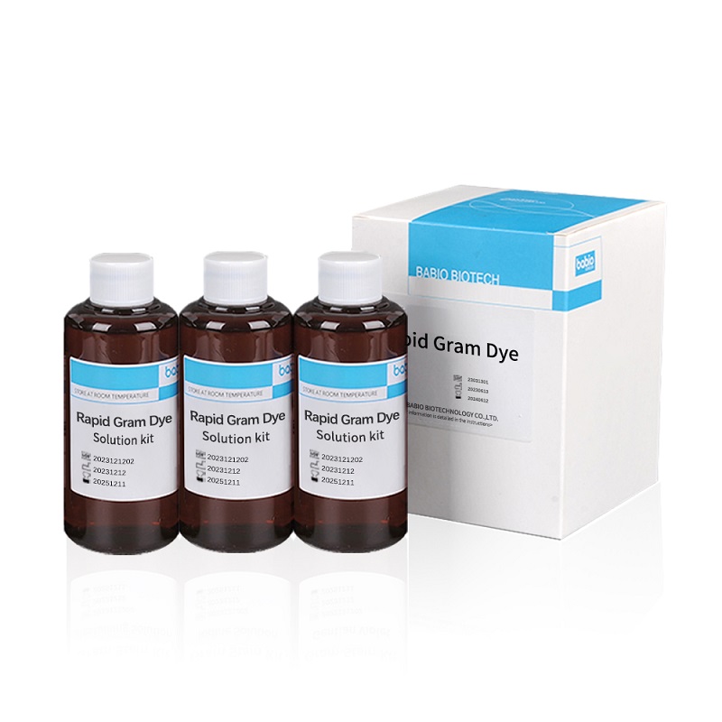 ຊຸດການແກ້ໄຂ Gram Dye ຢ່າງໄວວາ